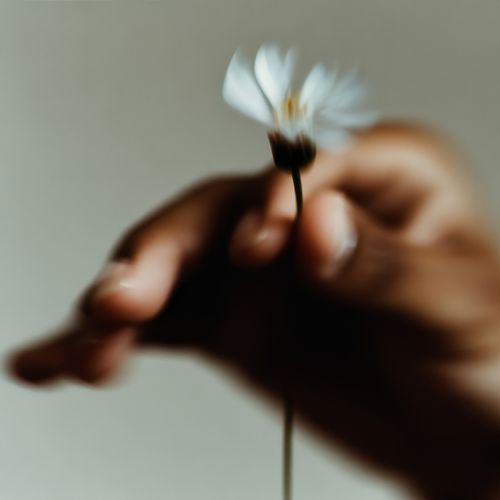 Fore Folk Studio by Sydney SG