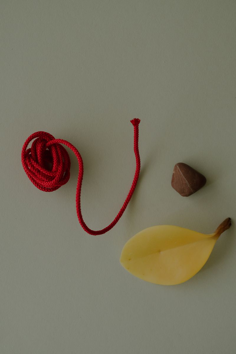 Composition of braided scarlet cord coiled beside a brown stone and yellowed leaf against sage green. The vibrant textile's structured weave contrasts with the smooth natural elements, creating a study in organic forms and material relationships. by Sydney SG