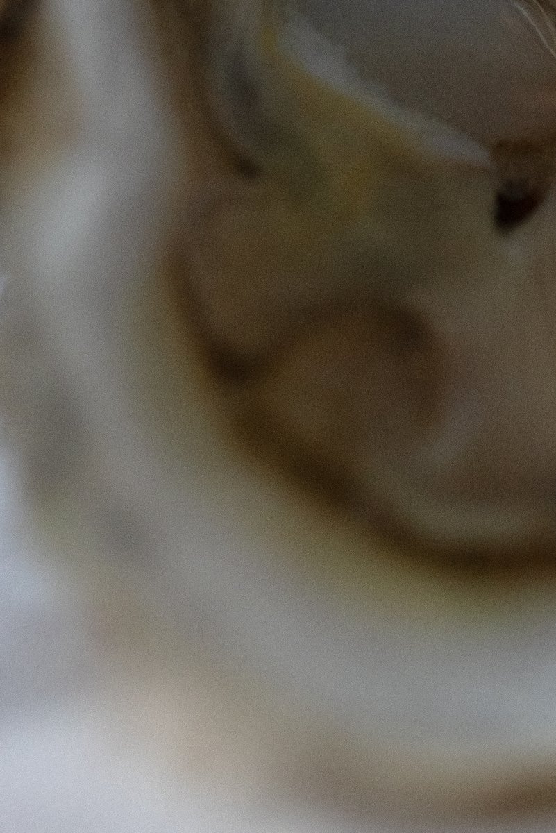 Soft, defocused image of an oyster, with warm yellow and orange hues. by Sydney SG