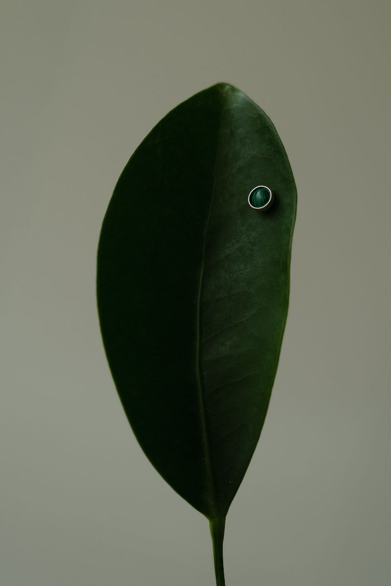 Close-up of a deep green leaf with a small malachite stone set in silver, positioned asymmetrically near the top right. The textural veins of the leaf create subtle lines against the rich emerald surface, suggesting a harmonious fusion of natural and crafted elements. by Sydney SG