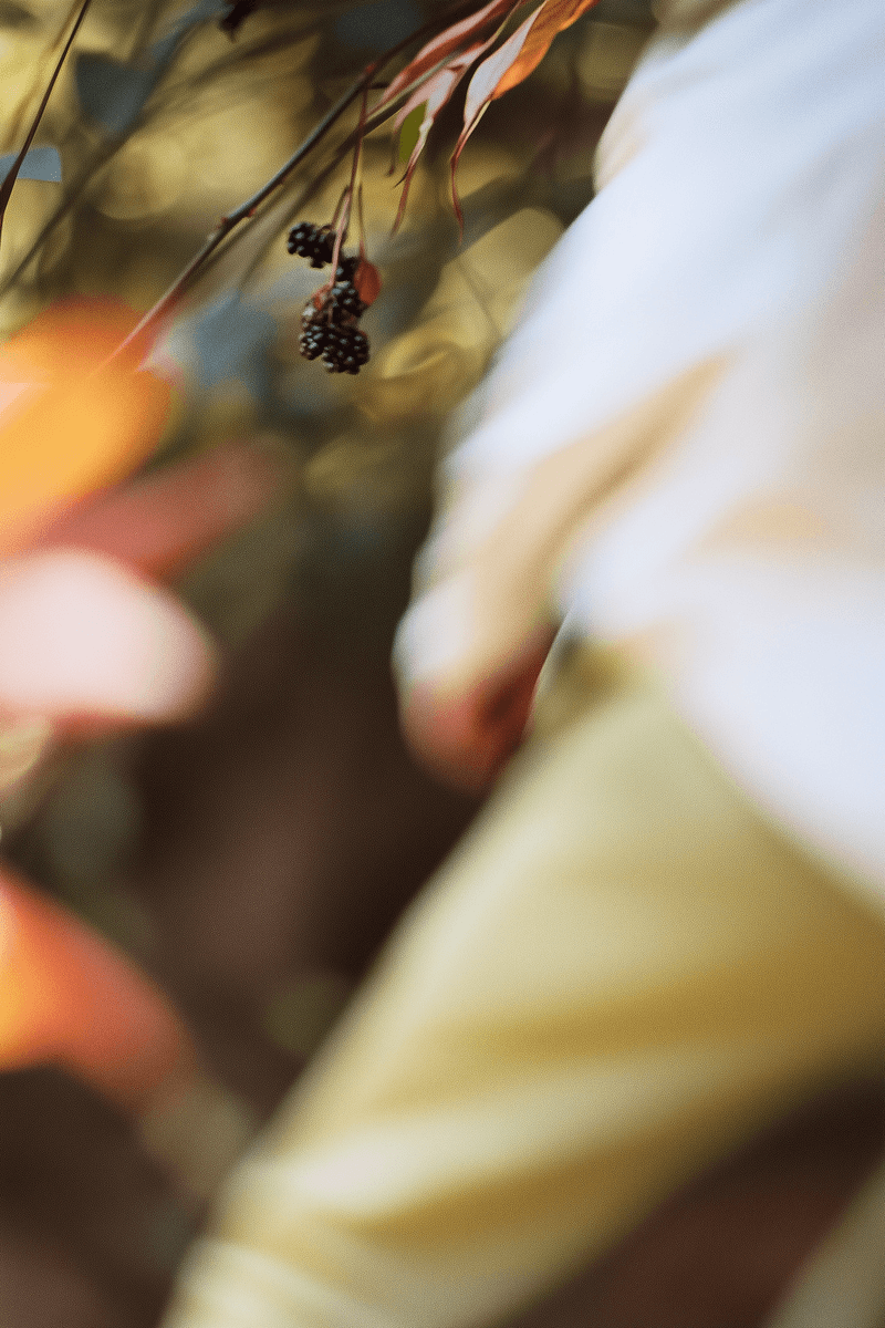 Soft-focus cluster of blackberries suspended on thin branches, seen through a haze of white fabric and golden light. The shallow depth of field creates a dreamlike, impressionistic quality. A person in a white shirt and trousers is partially seen, in motion, in the background.  by Sydney SG