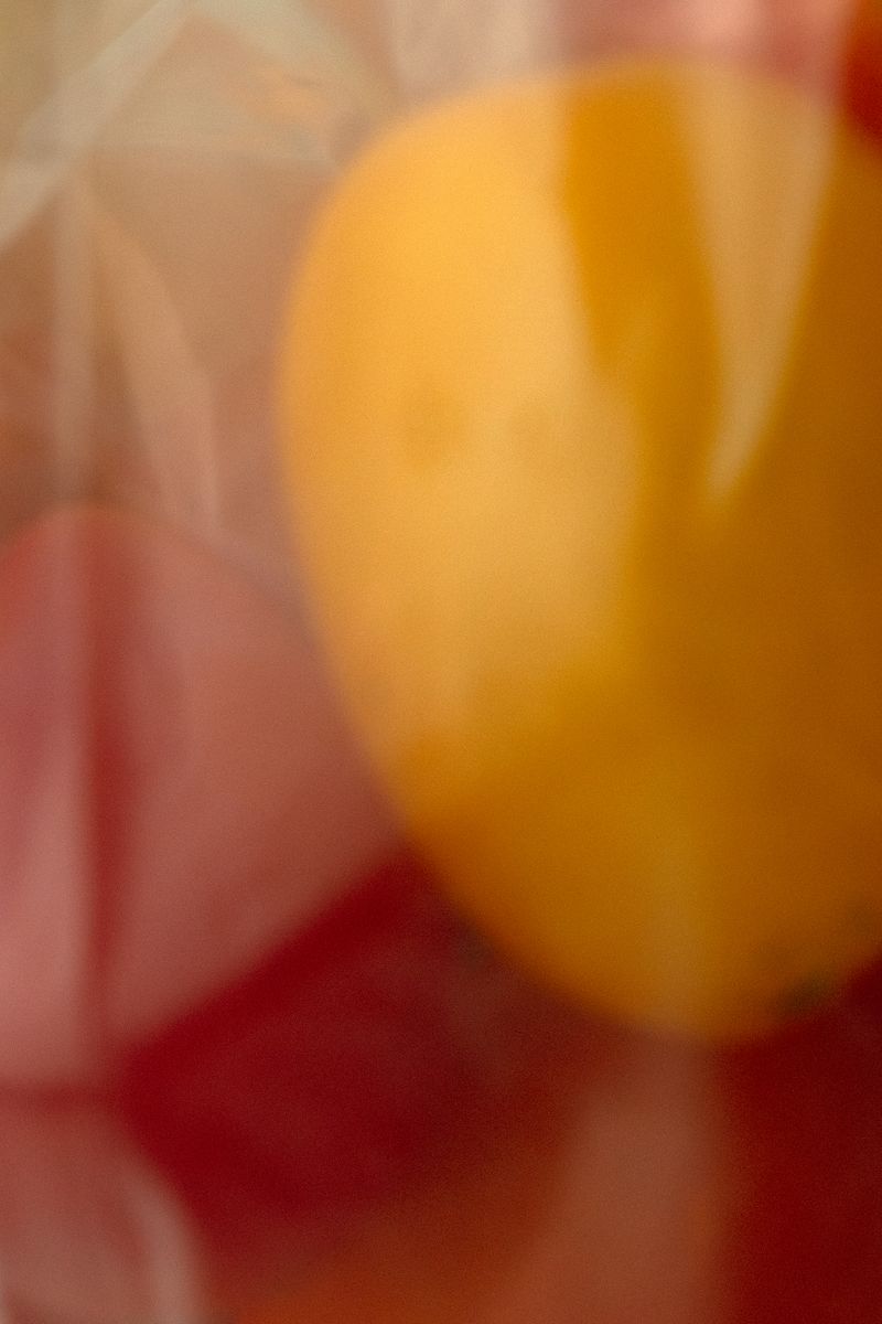 Abstract composition of blurred golden-yellow and muted red tomatoes behind clear plastic. The intentional soft focus creates a painterly effect with warm, glowing color gradients. by Sydney SG