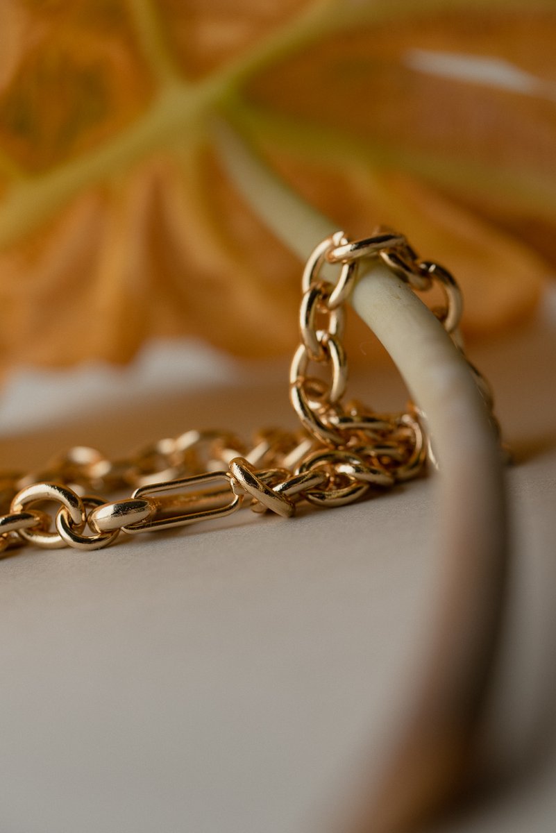 Close-up of a gold chain resting on a yellowed plant stem with a large, golden-brown leaf in the background. A soft, organic jewelry arrangement with autumnal tones. by Sydney SG