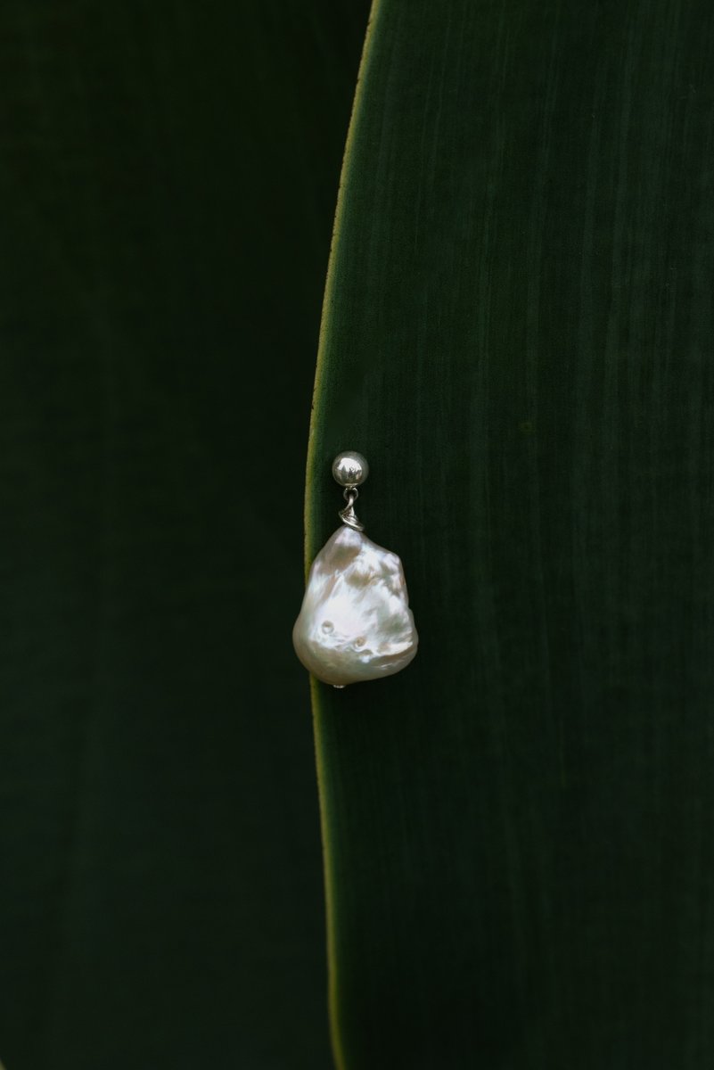 A single silver pearl earring displayed on a large agave leaf. The smooth organic curves of the leaf complement the natural form of the pearl. by Sydney SG