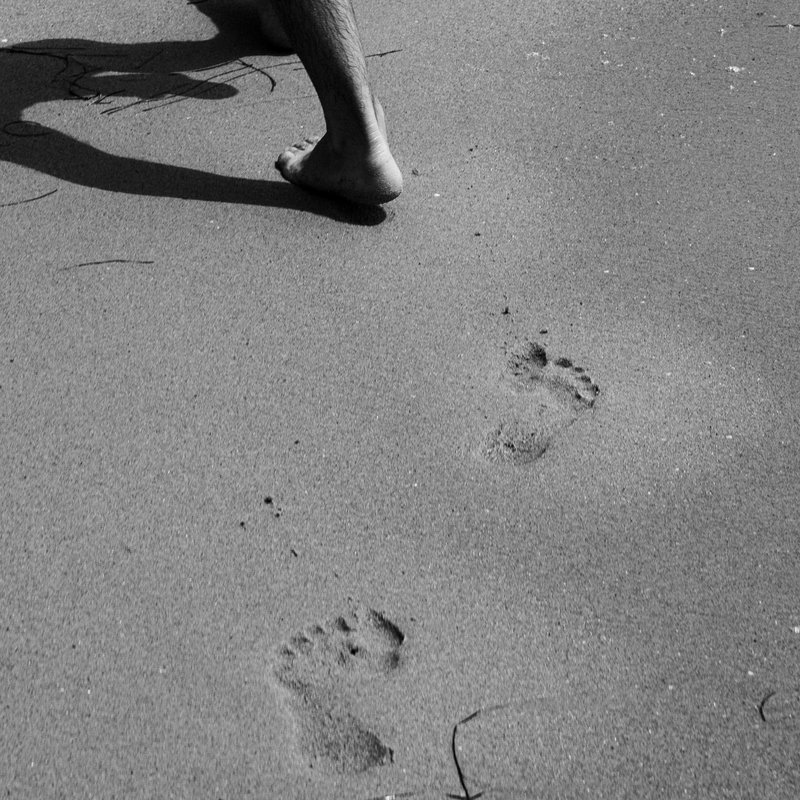 Feast: Beach Scenes by Sydney SG