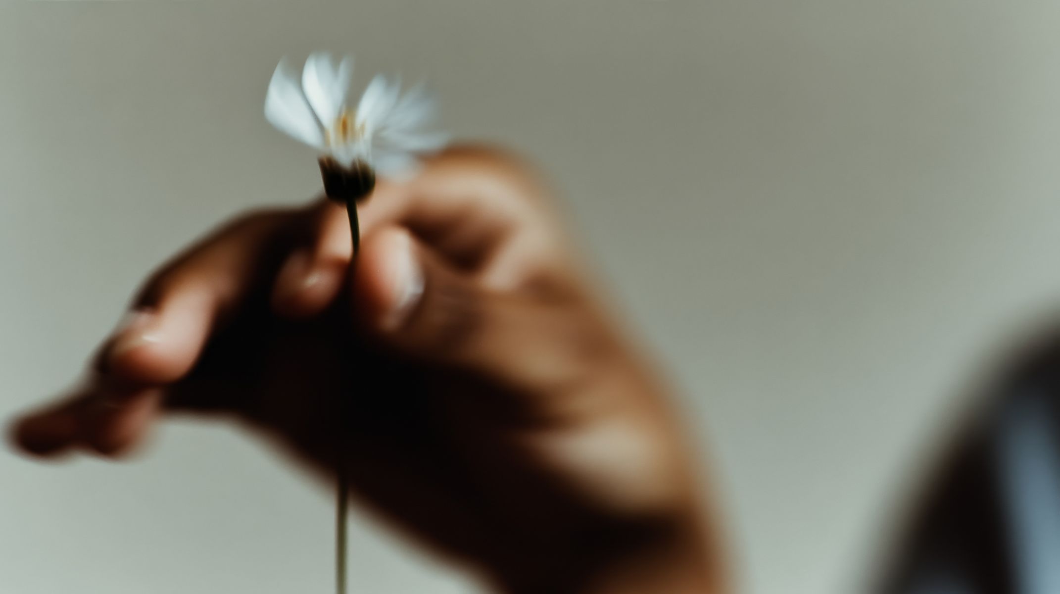 Hands holding a small white daisy with the flower in sharp focus. The background is completely out of focus, isolating the delicate gesture and bloom. (AI-generated image) by Sydney SG