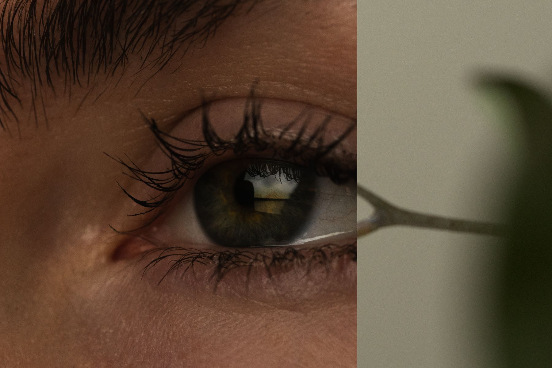 Close-up of a green-gold eye that captures intricate detail in lashes and skin texture. The right side of the eye is collaged against a soft green branch. by Sydney SG