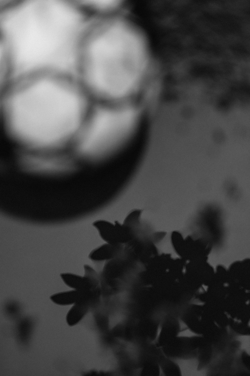 Abstract black and white reflection of a soccer ball and flowers in water. by Sydney SG