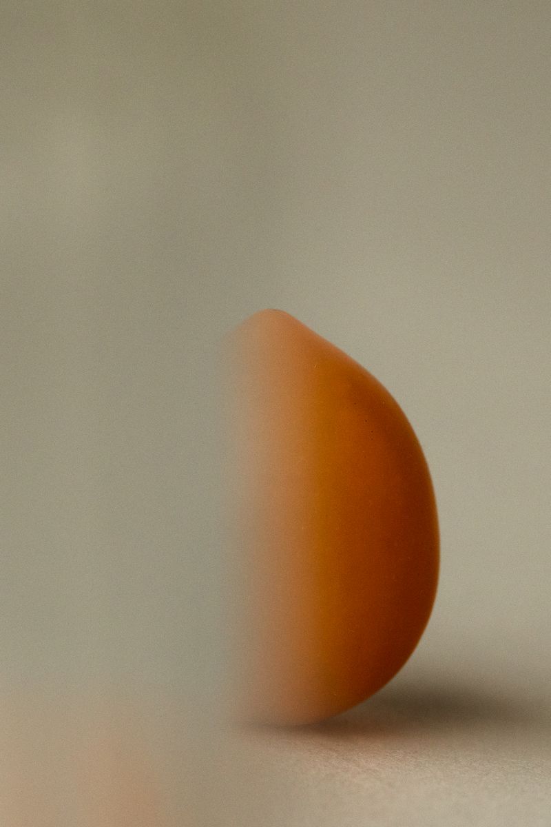 Minimalist composition of an orange-red curved tomato against a neutral gray background. The soft focus and strong silhouette create a sculptural, meditative quality. by Sydney SG