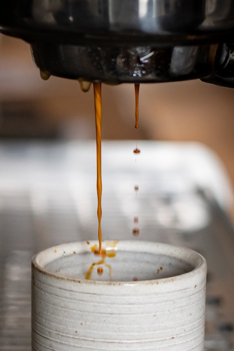 A stream of espresso drips from a coffee machine into a speckled ceramic cup, with a blurred background. by Sydney SG