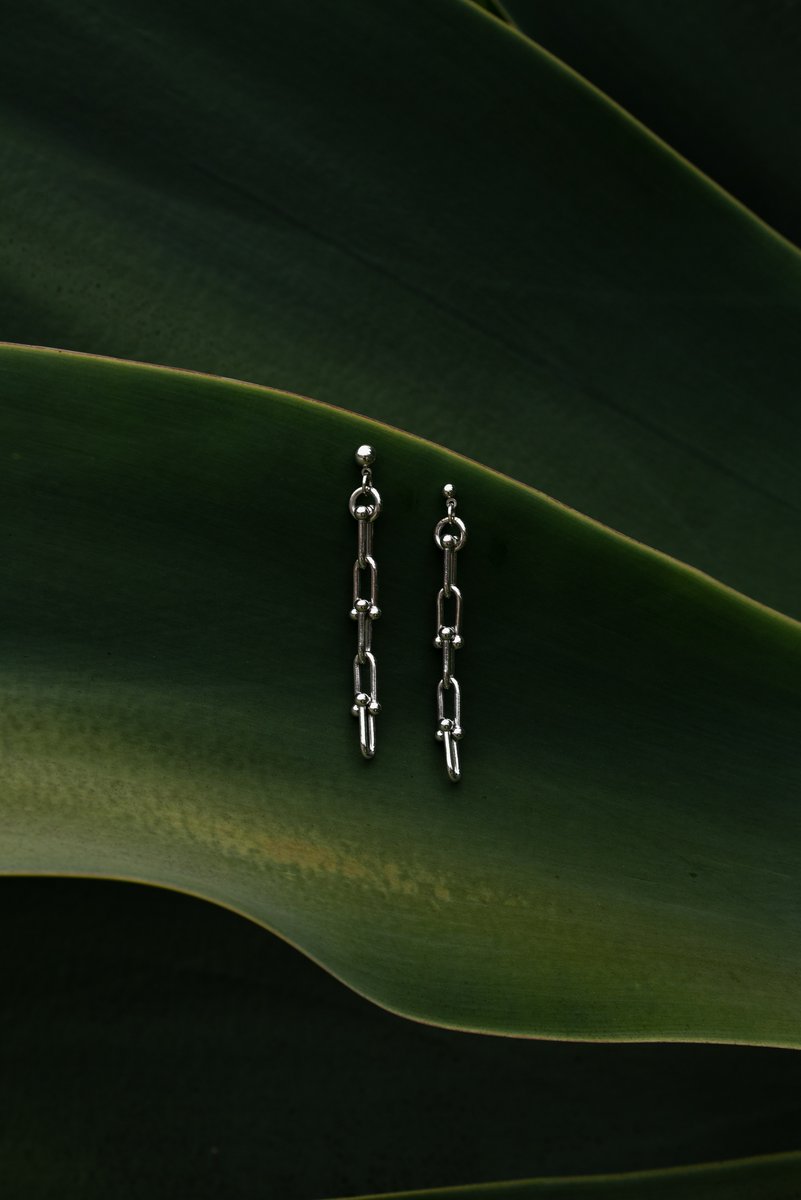 Pair of silver chain earrings laid flat against a large agave leaf. The sleek metal contrasts with the smooth, dark surface of the leaf, creating a minimalist yet elegant composition. by Sydney SG