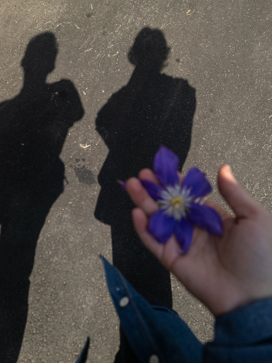 My shadow and my partner's shadow cast dark on the dirty concrete sidewalk, in the foreground is my hand holding a large purple clematis bloom and my denim shirt is moving in the breeze. by Sydney SG