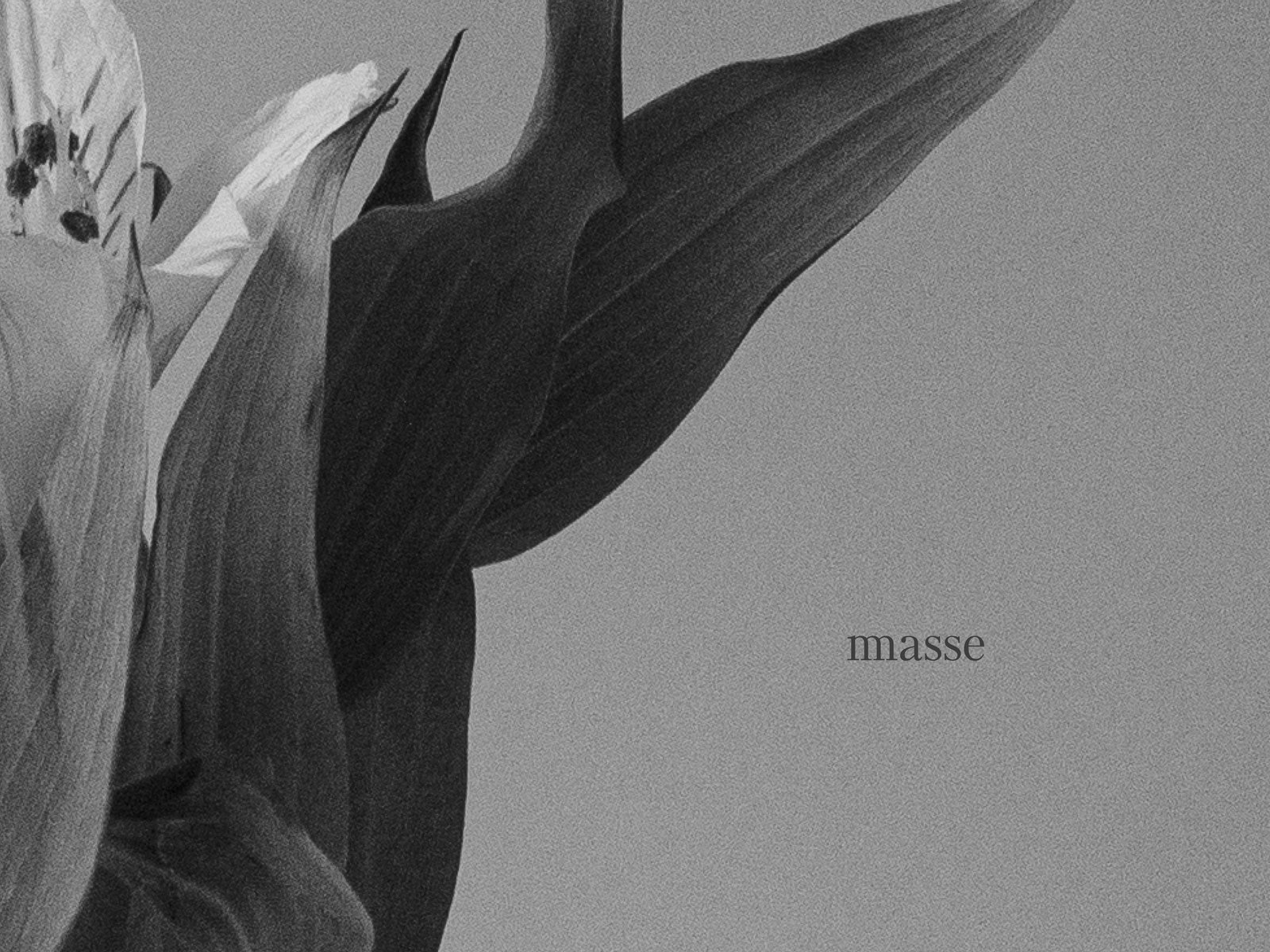 A greyscale close up of an alstroemeria with a logotype that says "masse". The image is grainy and noisy, but minimalistic. by Sydney SG