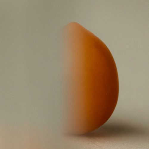 Tomato Study by Sydney SG