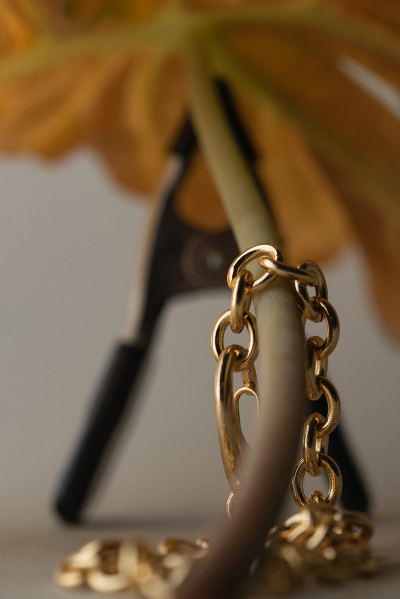 Close-up of a gold chain draped over a yellowed plant stem, with a black clamp securing the leaf in the background. A blend of soft gold tones and natural textures. by Sydney SG