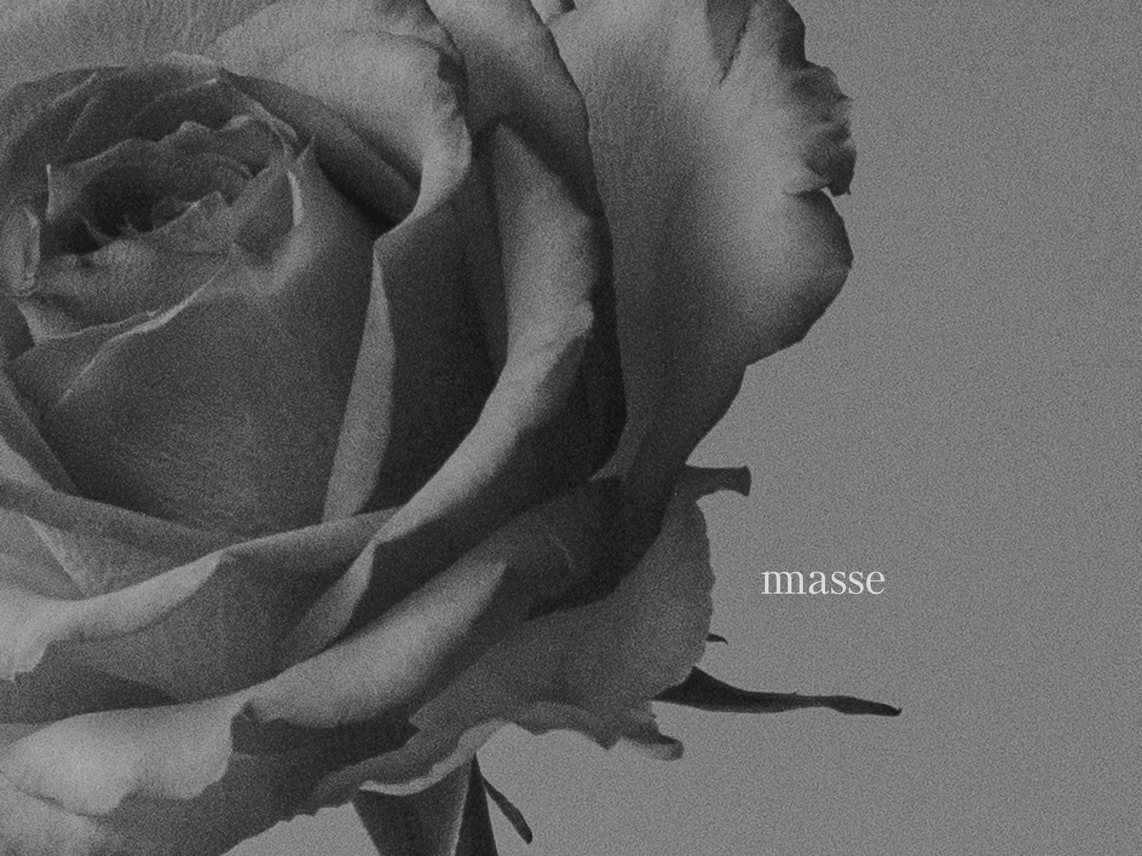 A greyscale close up of a rose with a logotype that says "masse". The image is grainy and noisy, but minimalistic. by Sydney SG