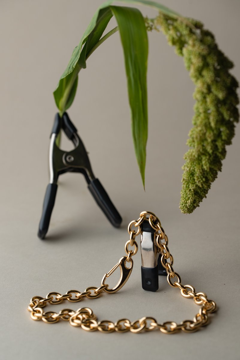 Artistic arrangement of a gold chain draped over a black clamp, with a green amaranth stem in the background. A mix of industrial and organic elements. by Sydney SG